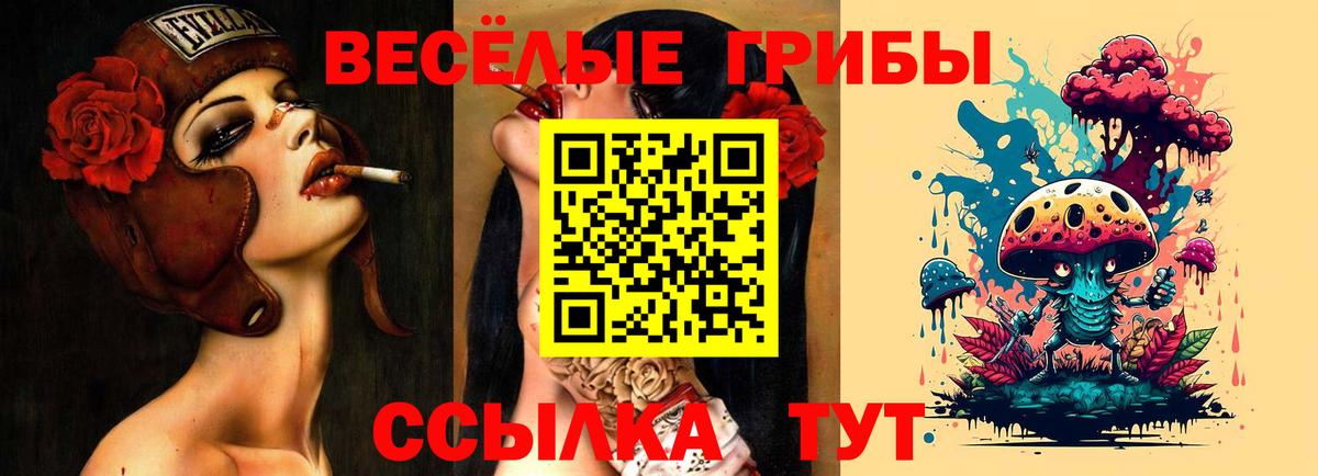 Псилоцибиновые грибы Psilocybe  Вход с VPN  Мелеуз 